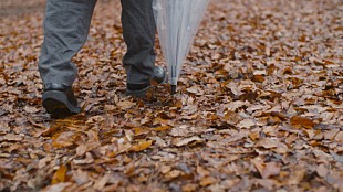 「SHE'S、新AL『Tragicomedy』リリース決定＆タイトル曲ティザー映像公開」