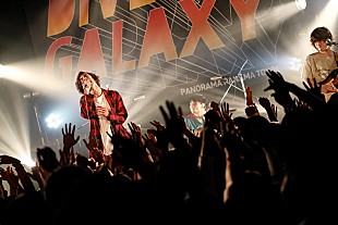 「＜ライブレポート＞パノラマパナマタウン、オーディエンスと作り上げたPPT流の人間讃歌」