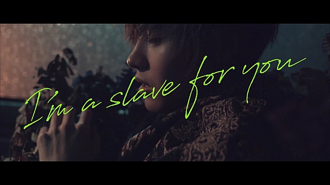 川口レイジ「川口レイジ ドラマ主題歌「I’m a slave for you」のMV公開」1枚目/1