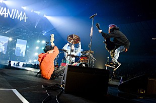 「(セトリ有)WANIMAがアリーナ編ツアー開幕、未発表の新曲初披露＆ストリングス・ピアノ従え初パフォーマンスも」