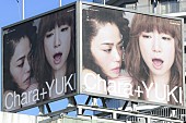 Ｃｈａｒａ＋ＹＵＫＩ「Chara+YUKI、巨大屋外ボードが各所に続々出現」1枚目/7