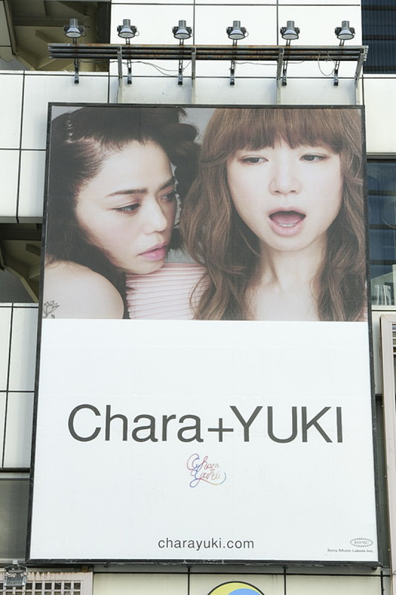 買い販促品 echo Chara +YUKI レコード アナログ | www.happychild.co
