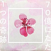 「ACE COLLECTION、「70億にただ1つの奇跡」MV撮影メイキング映像公開」1枚目/1