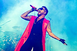 「アダム・ランバート、LGBTQ団体GLAADを支援するためにオンライン・オークション実施」