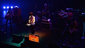 GRAPEVINE「GRAPEVINE、【IN A LIFETIME】特別編プレミア公開決定」1枚目/4