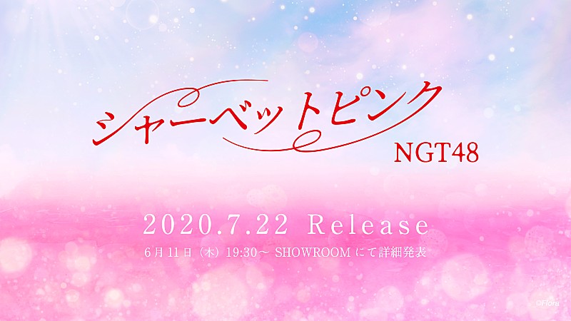 NGT48、約1年9か月ぶりのシングル『シャーベットピンク』発売決定 