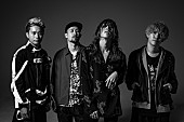 SUPER BEAVER「SUPER BEAVER、新曲「ひとりで生きていたならば」ティザー映像公開」1枚目/3