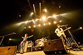 UNISON SQUARE GARDEN「UNISON SQUARE GARDEN、貴重なライブ映像「over driver～ピストルギャラクシー」公開」1枚目/3