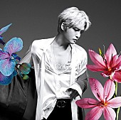 ジェジュン「【先ヨミ】ジェジュンのカバーアルバム第2弾『Love Covers II』が現在首位　ヨルシカが後を追う」1枚目/1