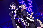 和楽器バンド「和楽器バンド、新AL『TOKYO SINGING』“FC限定盤”収録のライブダイジェスト映像公開」1枚目/12