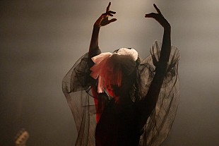 「Cocco、生配信ライブで楽曲に新たな解釈をもたらす」