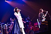 和楽器バンド「和楽器バンド、オーケストラと共演した大阪城ホール公演のダイジェスト公開」1枚目/15