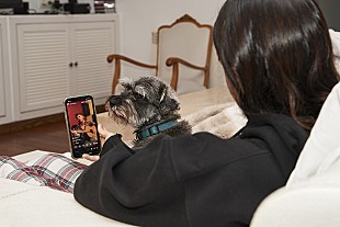 「有料ライブ配信への消費者の関心が急増しているという新データが発表」