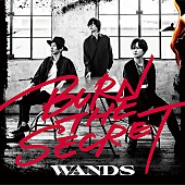 WANDS「」3枚目/3