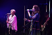 ＣＯＳＡ　ＮＯＳＴＲＡ「＜ライブレポート＞20年ぶりにオリジナルメンバーが“リユニオン”を果たしたCOSA NOSTRA、ゲストを迎えて贈られたシックなポップミュージックに酔いしれる夜」1枚目/4