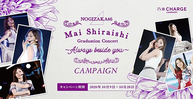 乃木坂46「白石麻衣の卒業ライブ会場に花を届ける「乃木CHARGEキャンペーン」第5弾実施へ」1枚目/2