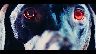 「back number、ドラマ主題歌「エメラルド」MVをプレミア公開」