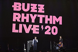 「【バズリズム LIVE 2020】山崎まさよし、スキマスイッチ、Novelbright、さかいゆう、FAITHが登場」