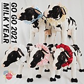 M!LK「M!LKの新SG「GO GO 2021 M!LK YEAR」配信リリース、バーチャル年越しラジオも収録」1枚目/2