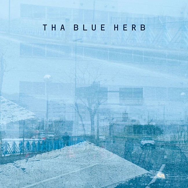 ＴＨＡ　ＢＬＵＥ　ＨＥＲＢ「」6枚目/8