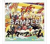 「グループ魂、新AL『神々のアルバム』先着購入者特典決定」1枚目/3