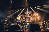 THE YELLOW MONKEY「THE YELLOW MONKEY、聖地・日本武道館で再集結以降の「シーズン2」に幕」1枚目/6