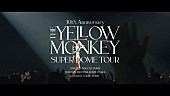 THE YELLOW MONKEY「THE YELLOW MONKEY、ライブ・アルバム『Live Loud』特別編集版のライブ映像を公開」1枚目/2