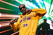 スヌープ・ドッグ「スヌープ・ドッグ、ロゼ・ワイン“Snoop Cali Rose”を発売」1枚目/1