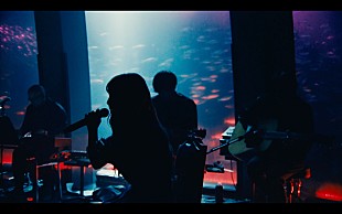 「ヨルシカ、オンラインライブ【前世】の映像商品化が決定」