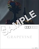 GRAPEVINE「」6枚目/6