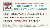 THE BAWDIES「」2枚目/3