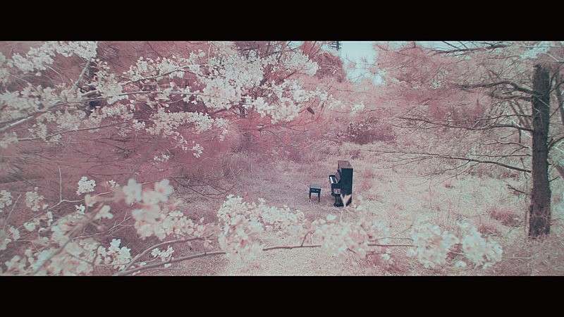 RADWIMPS「RADWIMPS、桜色の神秘的な「鋼の羽根」MV公開」1枚目/3