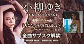 小柳ゆき「小柳ゆき、ワーナー＆ユニバーサル時代の全音源がサブスク解禁」1枚目/1