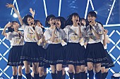 乃木坂46「」8枚目/16