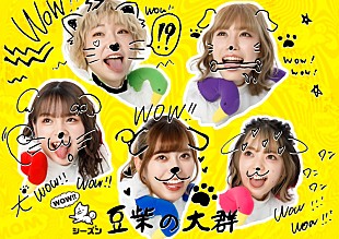 「豆柴の大群、1st miniAL『WOW!!シーズン』アートワーク・CDショップ特典公開＆特設サイトオープン」