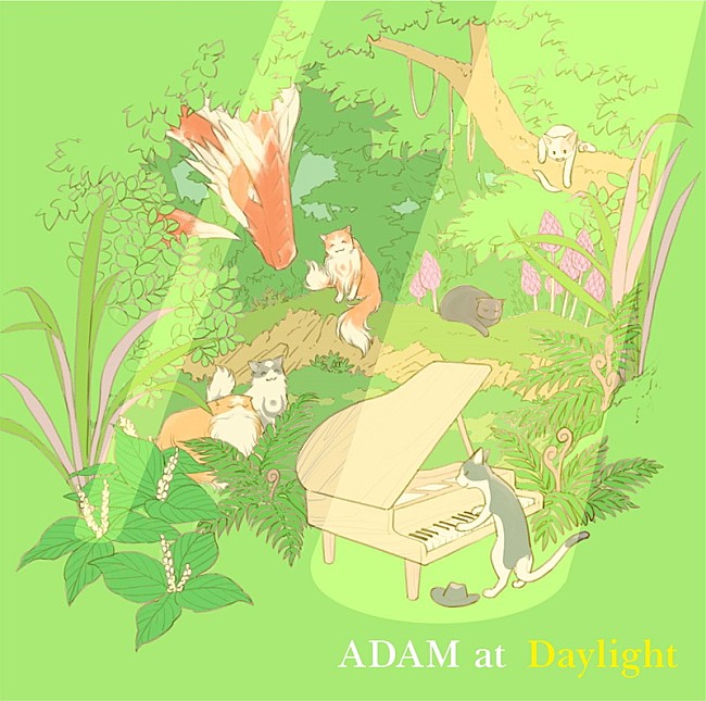 ADAM at「」2枚目/3