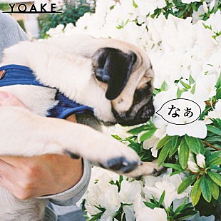 「YOAKE、新曲「なぁ」配信リリース＆MV公開　叶わぬ恋を歌ったアコースティックサウンドのナンバー」