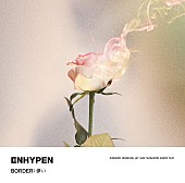 ENHYPEN「【先ヨミ】ENHYPEN『BORDER : 儚い』21万枚で現在シングル1位」1枚目/1