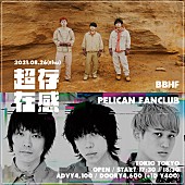 BBHF「BBHF×PELICAN FANCLUBによる2マンライブ【超存在感 vol.02】開催」1枚目/1