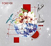 L`Arc～en～Ciel「シングル『FOREVER』LE-CIEL限定盤」4枚目/4
