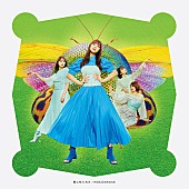 乃木坂46「シングル『君に叱られた』通常盤」5枚目/5