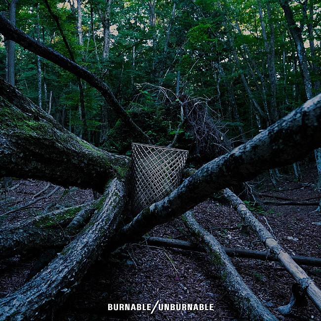 ＢＵＲＮＡＢＬＥ／ＵＮＢＵＲＮＡＢＬＥ「「望んでない世界」ジャケット」5枚目/6