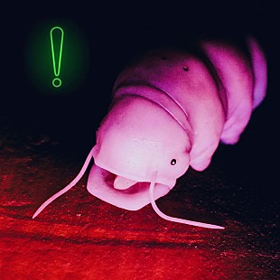 「Dos Monosの新曲「OCCUPIED!」配信リリース＆「medieval」のMV公開」