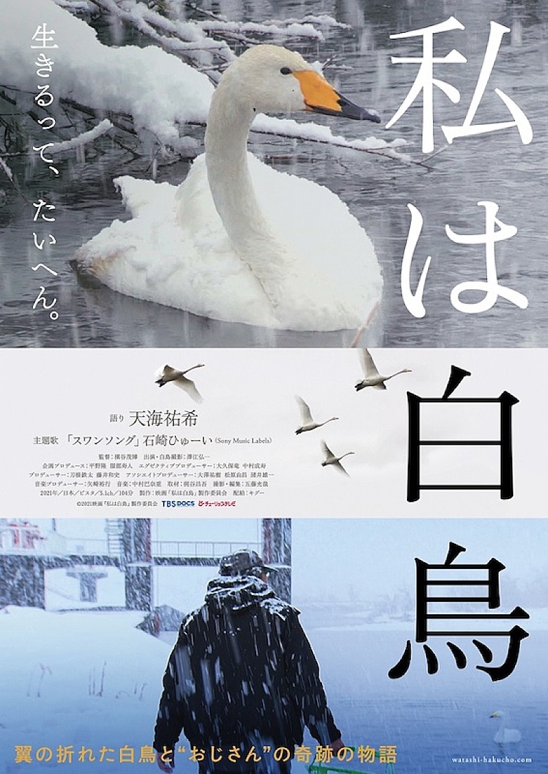 石崎ひゅーいの新曲「スワンソング」がドキュメンタリー映画『私は白鳥』の主題歌に