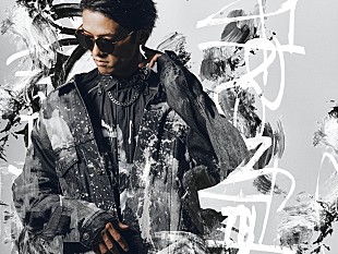 「Hilcrhyme、新曲＋過去作品のミュージックビデオ計28タイトル一挙公開」