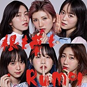 AKB48「【先ヨミ】AKB48『根も葉もRumor』40.2万枚で現在シングル1位」1枚目/1