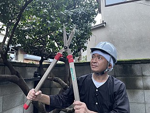 「城島茂が庭に生えている木々の伐採に挑戦　「１億人の大質問！？笑ってコラえて！２時間ＳＰ」」
