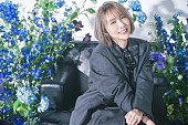 藍井エイル「藍井エイル、アニメ『コードギアス』新OP曲を担当　新アー写＆10周年特設サイトも公開」1枚目/2