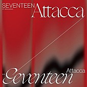 SEVENTEEN「【ビルボード】SEVENTEEN『Attacca』が総合アルバム首位」1枚目/1