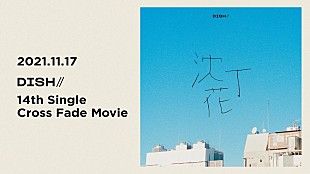 「DISH//、新SG『沈丁花』収録曲クロスフェード映像公開」